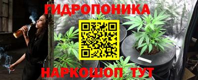 шишки Краснознаменск