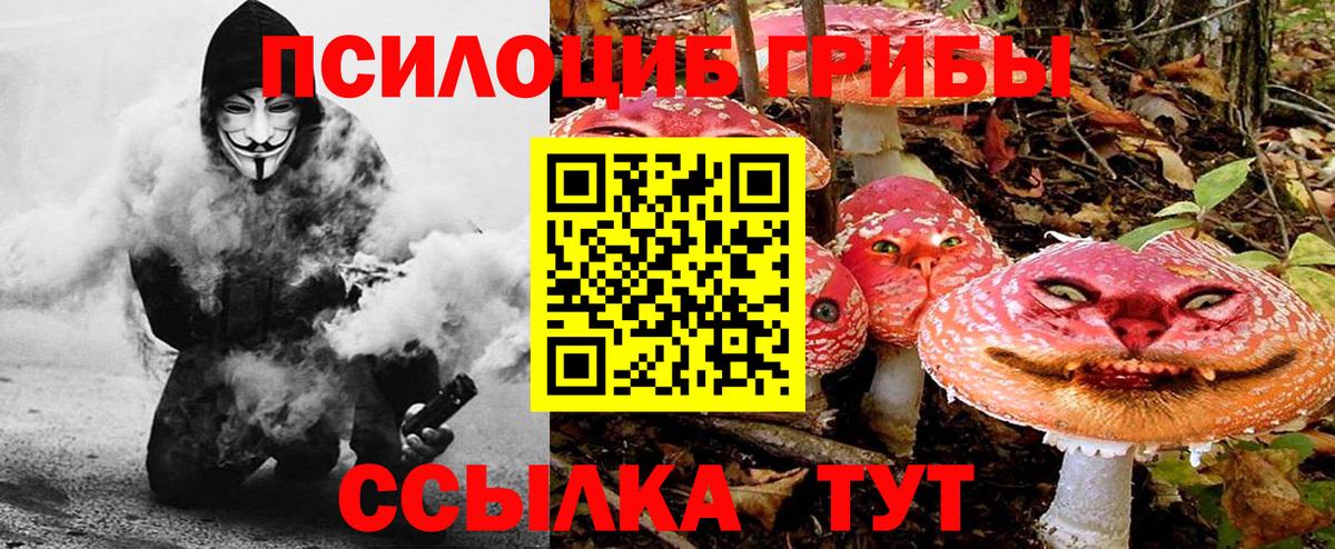 Калач-на-Дону  Галлюциногенные грибы MAGIC MUSHROOMS  Вход с VPN 