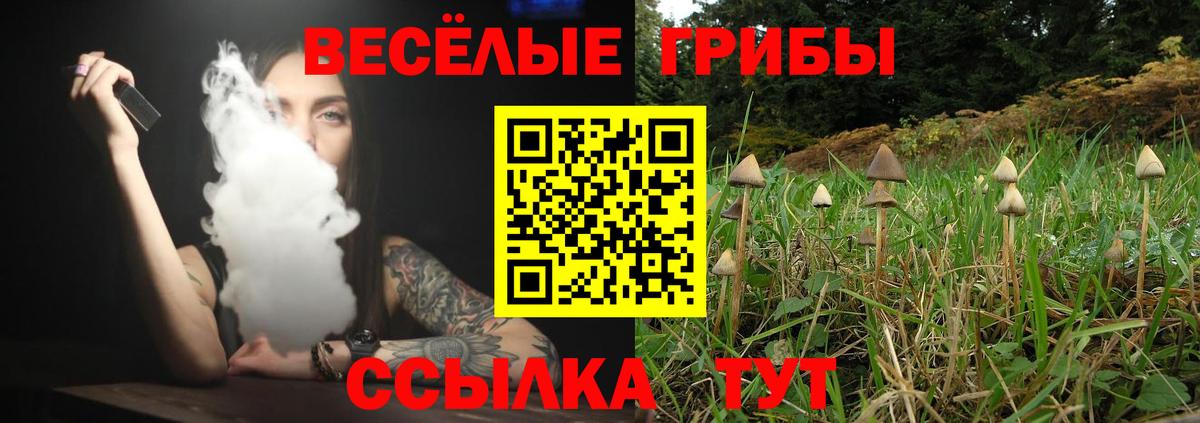 Галлюциногенные грибы Cubensis Калач-на-Дону
